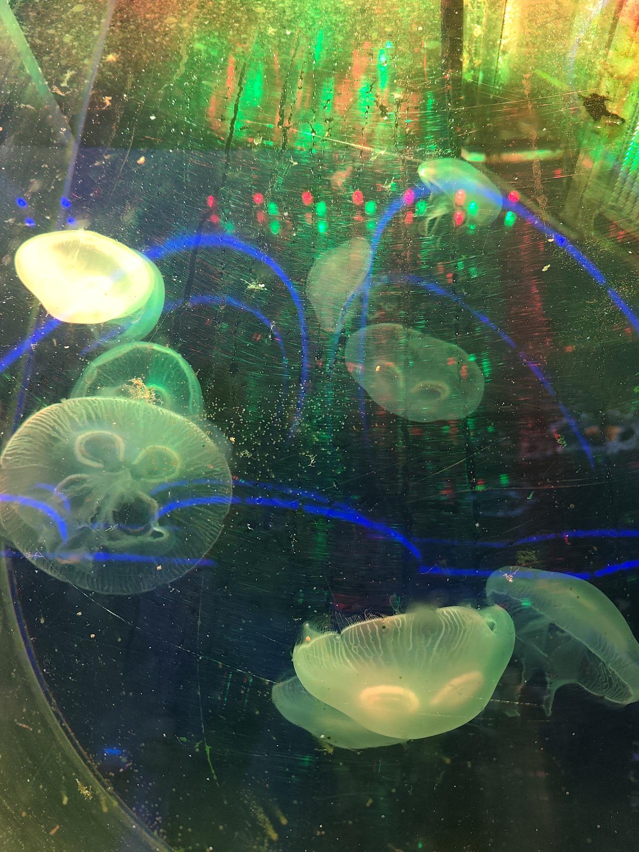 【神开头】10块抽成换7个月牢饭！这"生意"到底亏成啥样？【正文】最近熊猫某