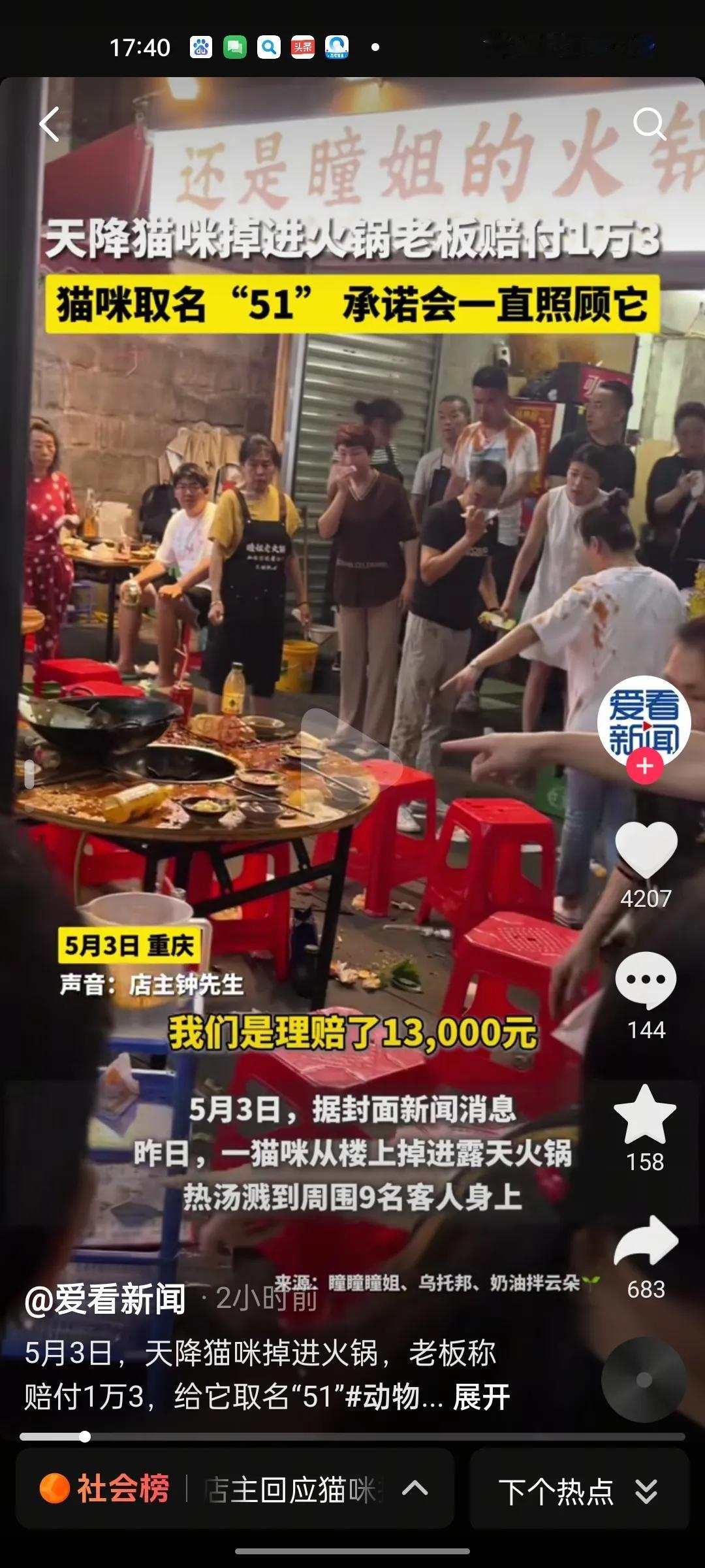 活该这个火锅店老板生意火！5.3日重庆，天降喵星人掉进热辣滚烫的火锅里，热油烫