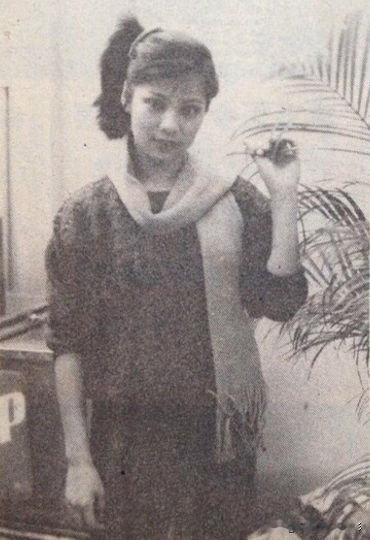 🐈在我这里，你永远胜过别人