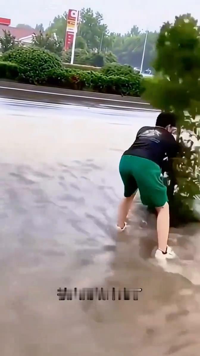 这个世界总被善良的心温暖感动。开始我还以为这小子在毁坏树木，你看好好的树给拔下