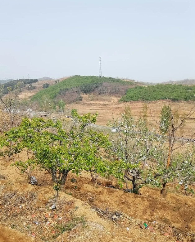 张嘴就骂人的女人遇事儿了就不该可怜她。昨天上午我去山坡上种谷子，路过一户人家就听