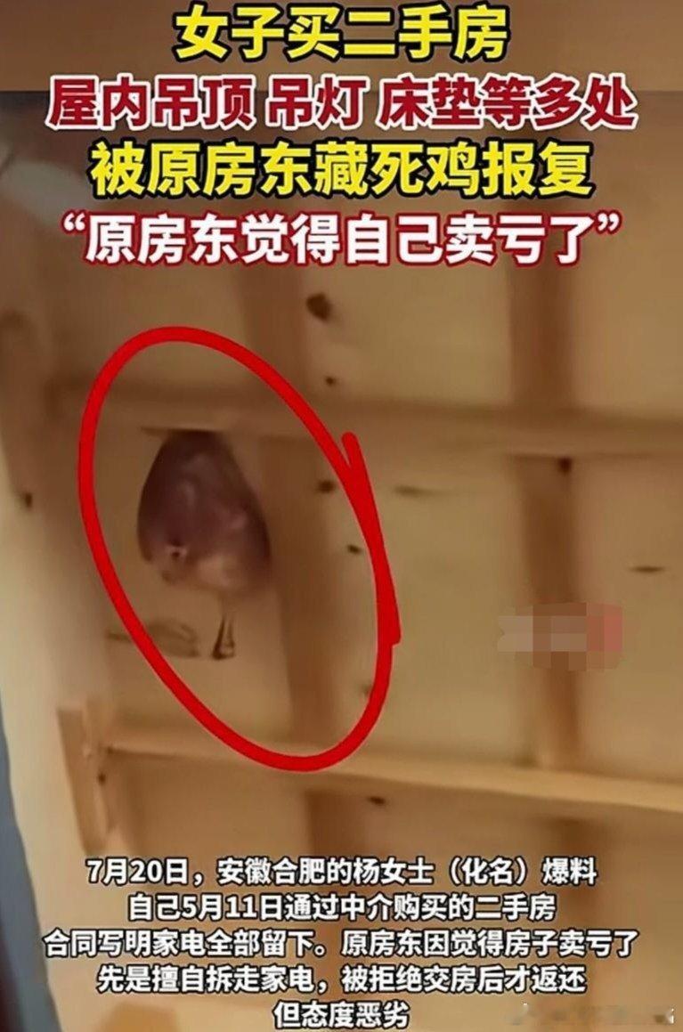 女子买二手房遭原房东藏死鸡报复近日，安徽合肥杨女士购买二手房后，收房时遭遇恐怖一