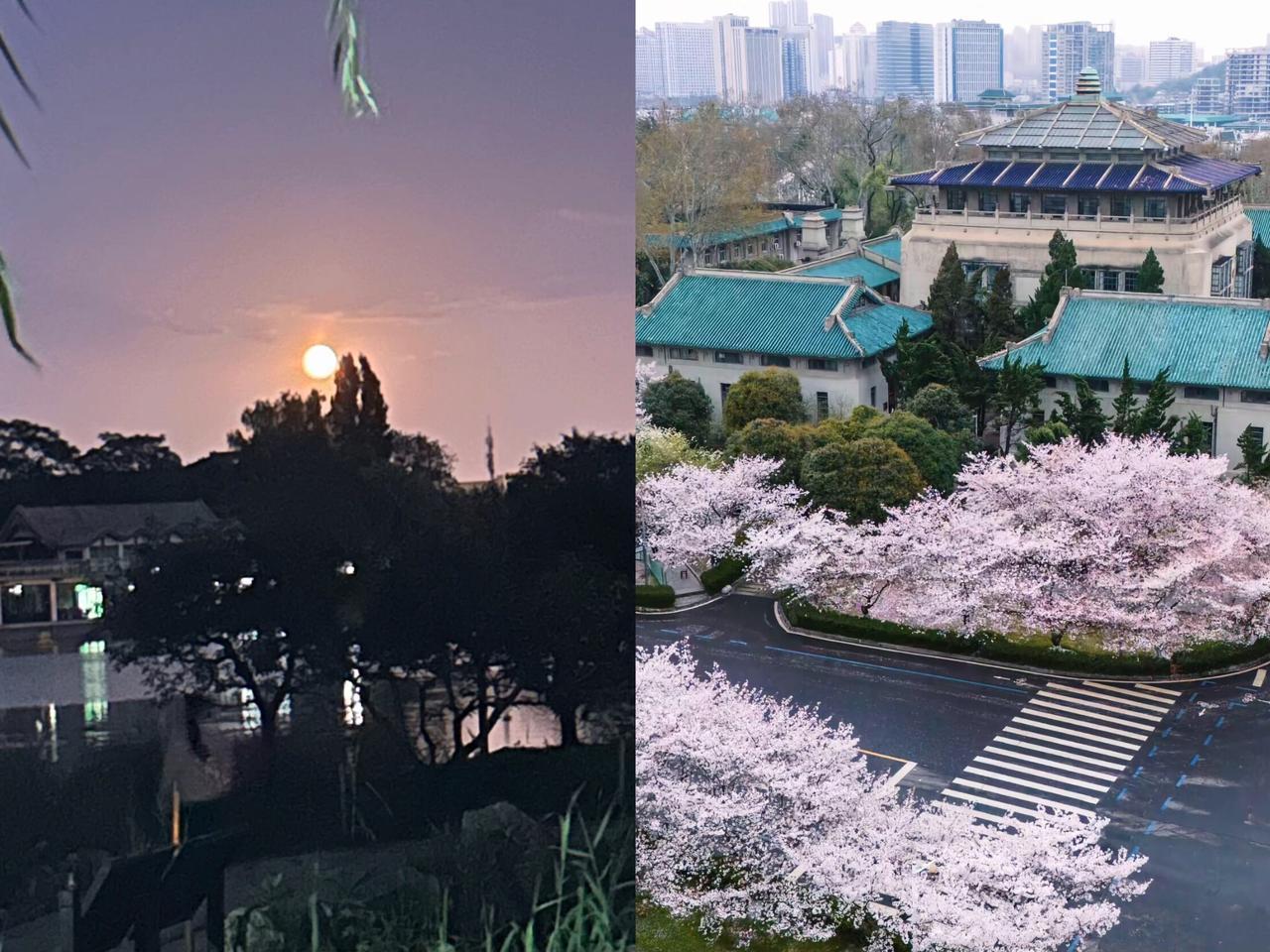 武大图书馆这事儿总算有了说法，男生处分撤了，女生学位保住了，连之前传得没边的
