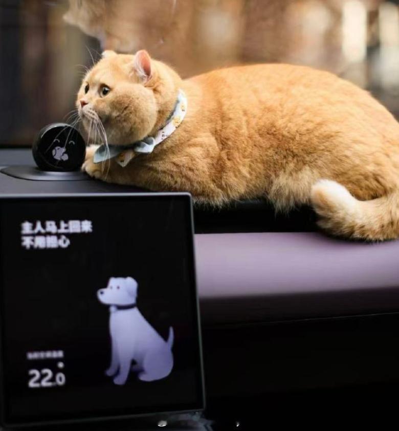 生活类服务的各类别都是相同的，各位发现没，从商超、餐饮到汽车，因为当下的年轻消费