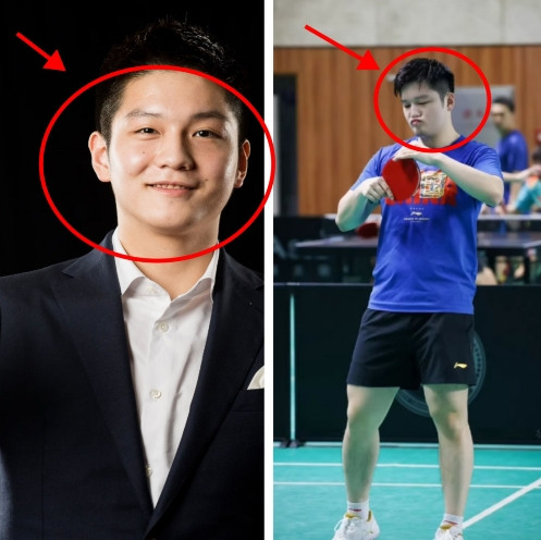 为啥在知乎上几乎看不到说樊振东不好的话？？？“时人不识凌云木，直待凌云始道高”