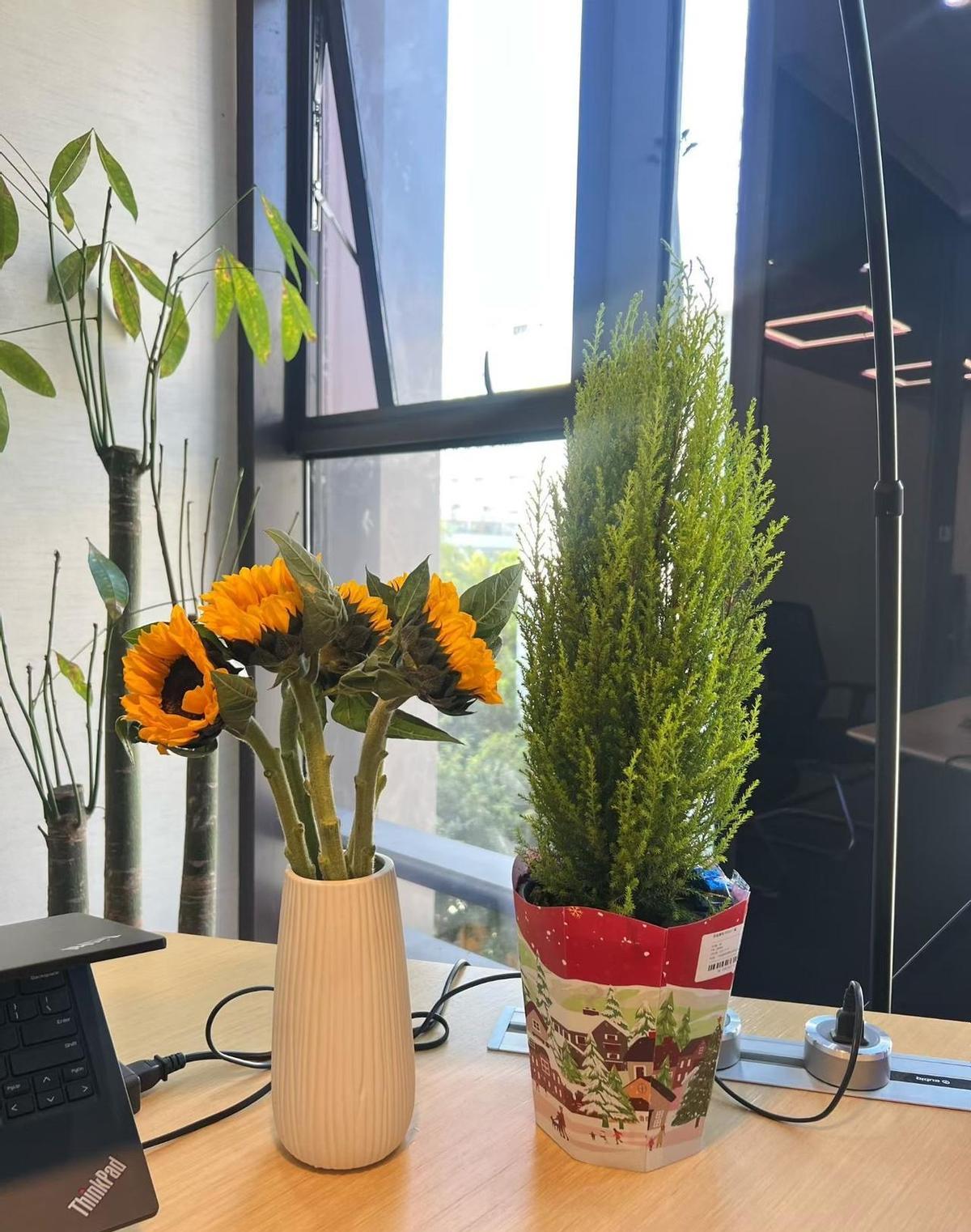 你干活猛，老板看得见但会哭的孩子有奶吃职场里，光会干不行还得会“演”别看