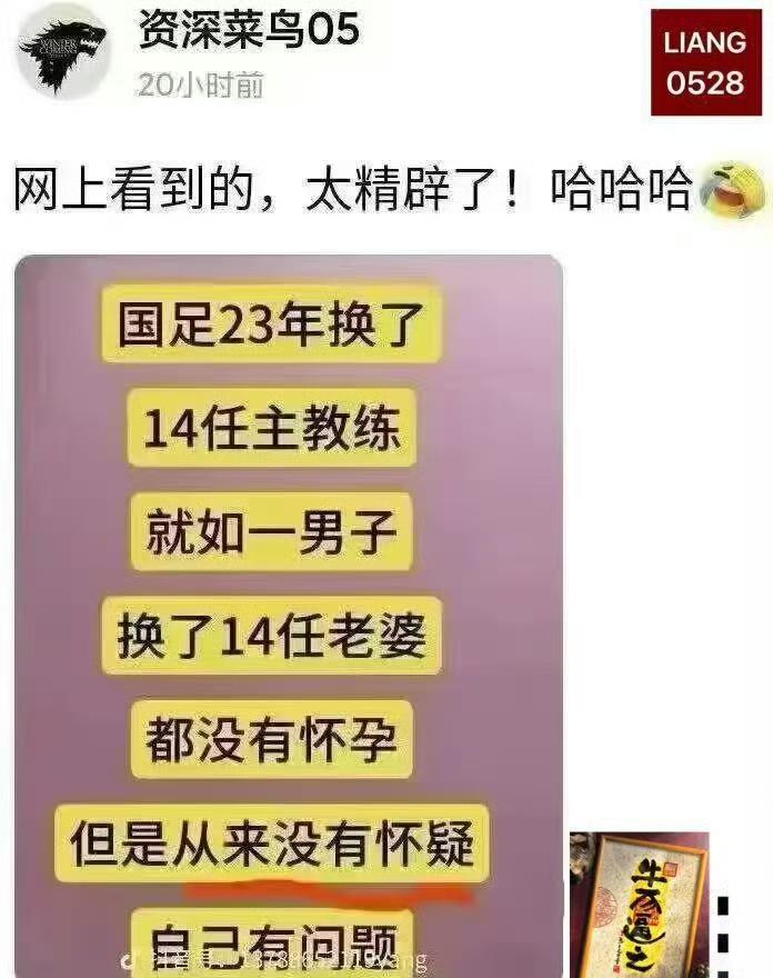 我也才知道，原来菜鸟有时也吃肉，因为吃了肉说岀来的话就是晕话。