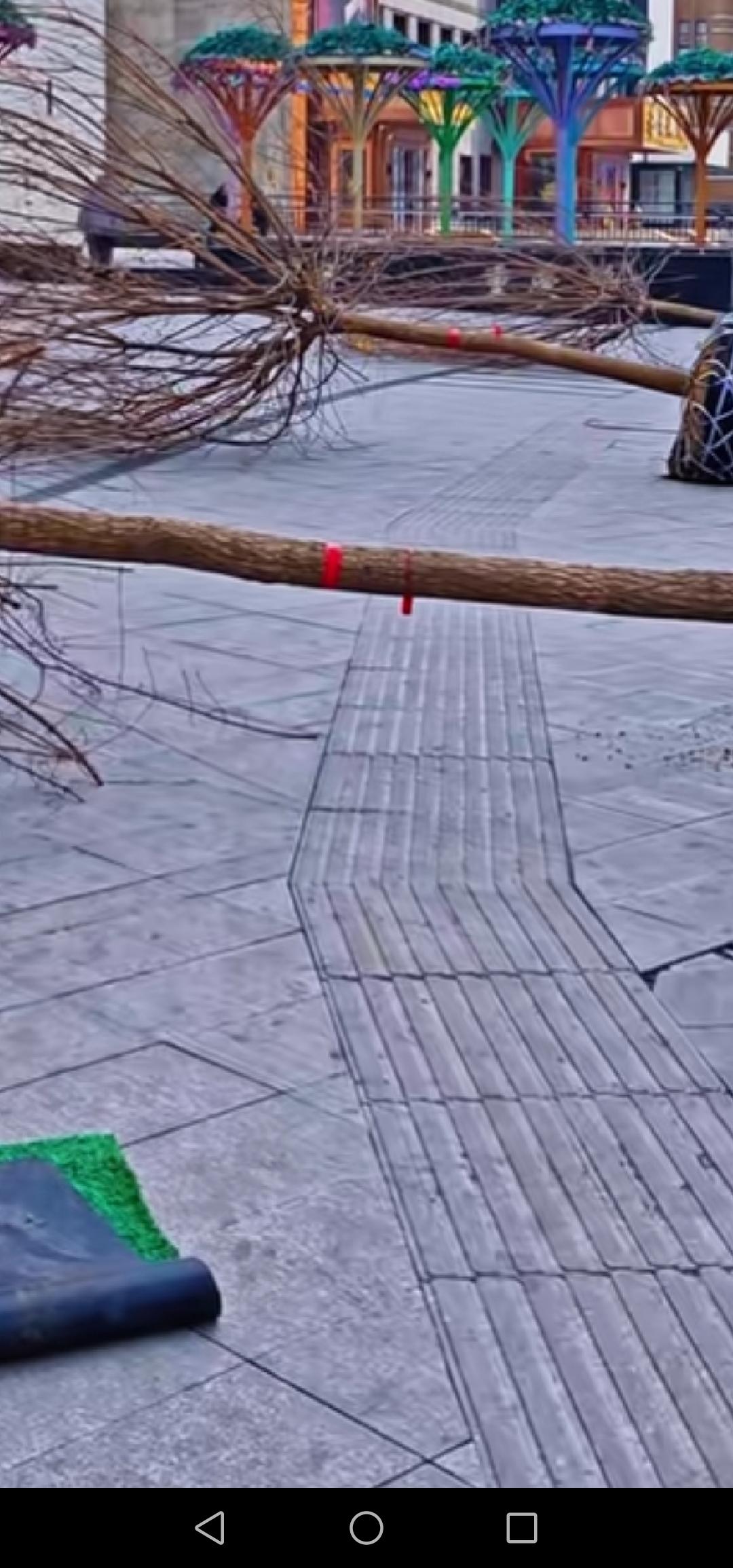 长春市重庆路启动了绿化工程，盼望着这里花红柳绿，再现往昔辉煌！近日，长春市重