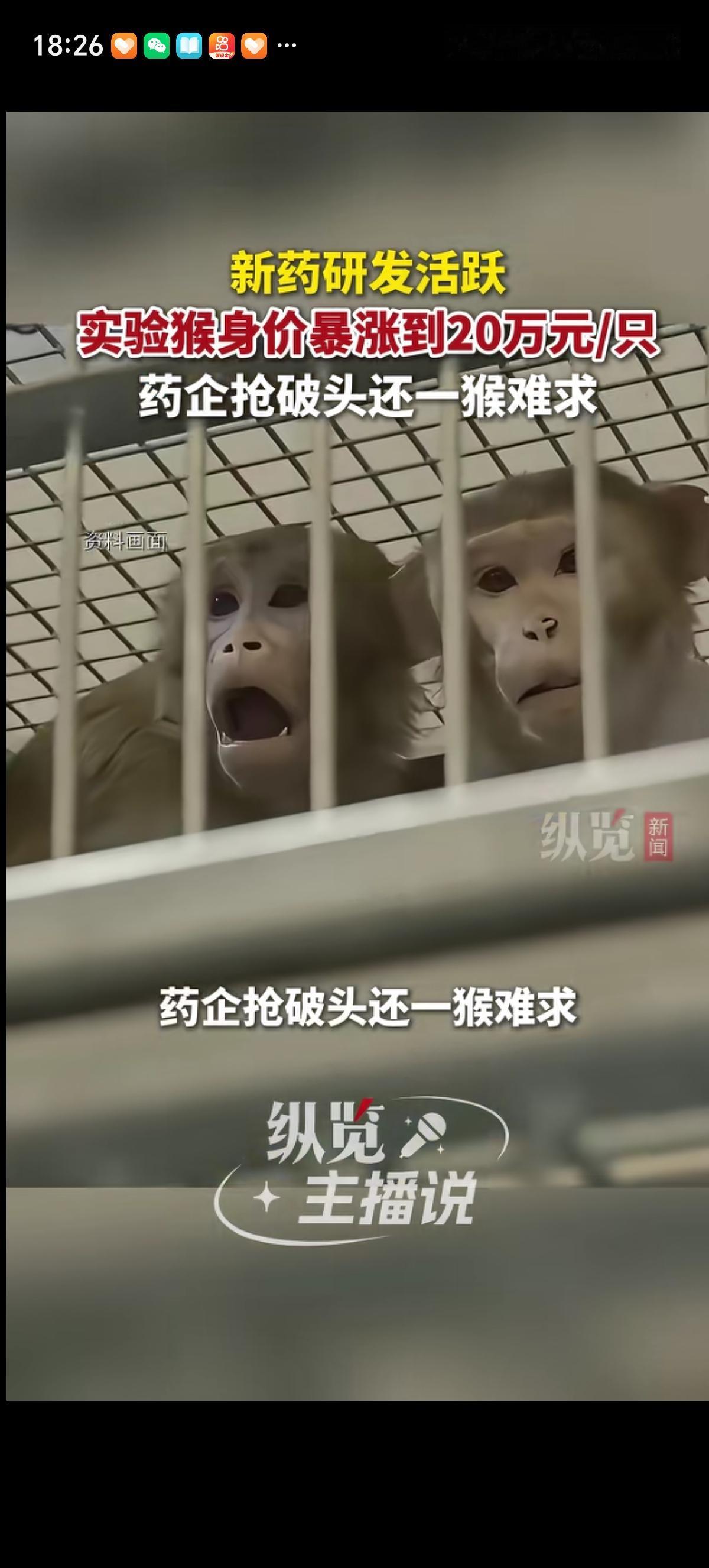 今年最赚钱的就养“实验猴”的了吧，一直猴子20万元一只，就这样还一猴难求，药企抢