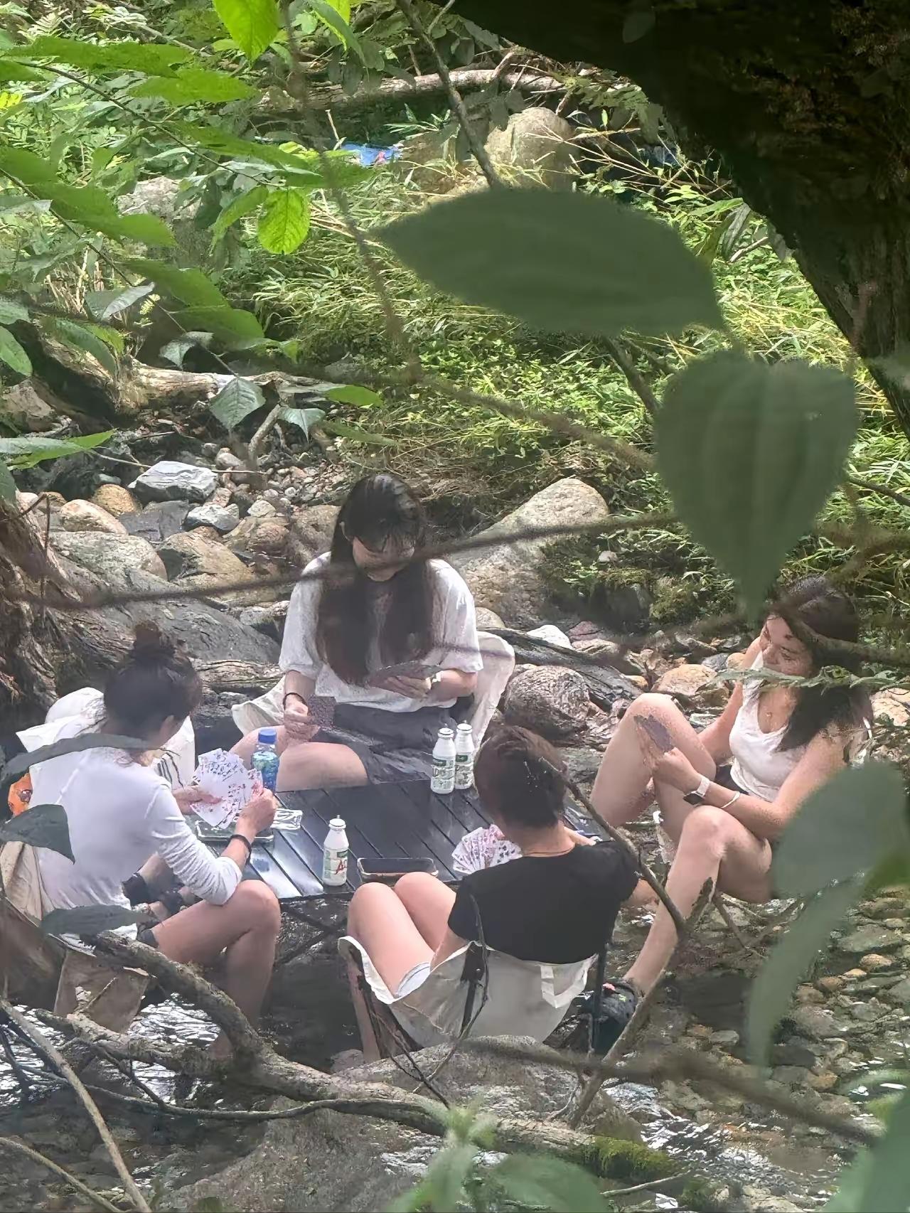 找了个蛇出没的地方，休闲纳凉
