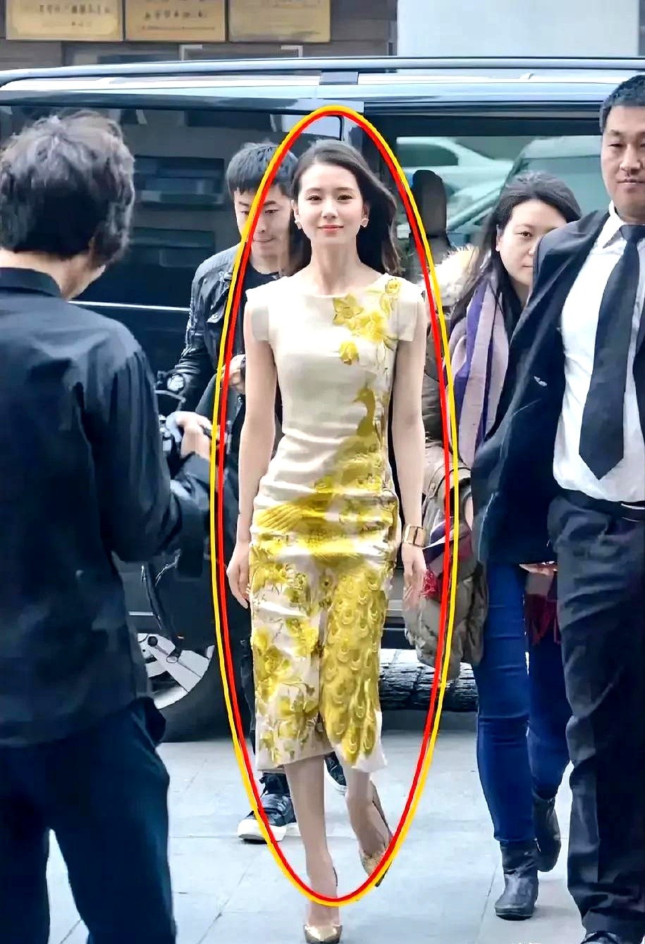 原来，刘诗诗也没那么上镜啊！现实比镜头里美太多了！不过话说回来，头发多真的能