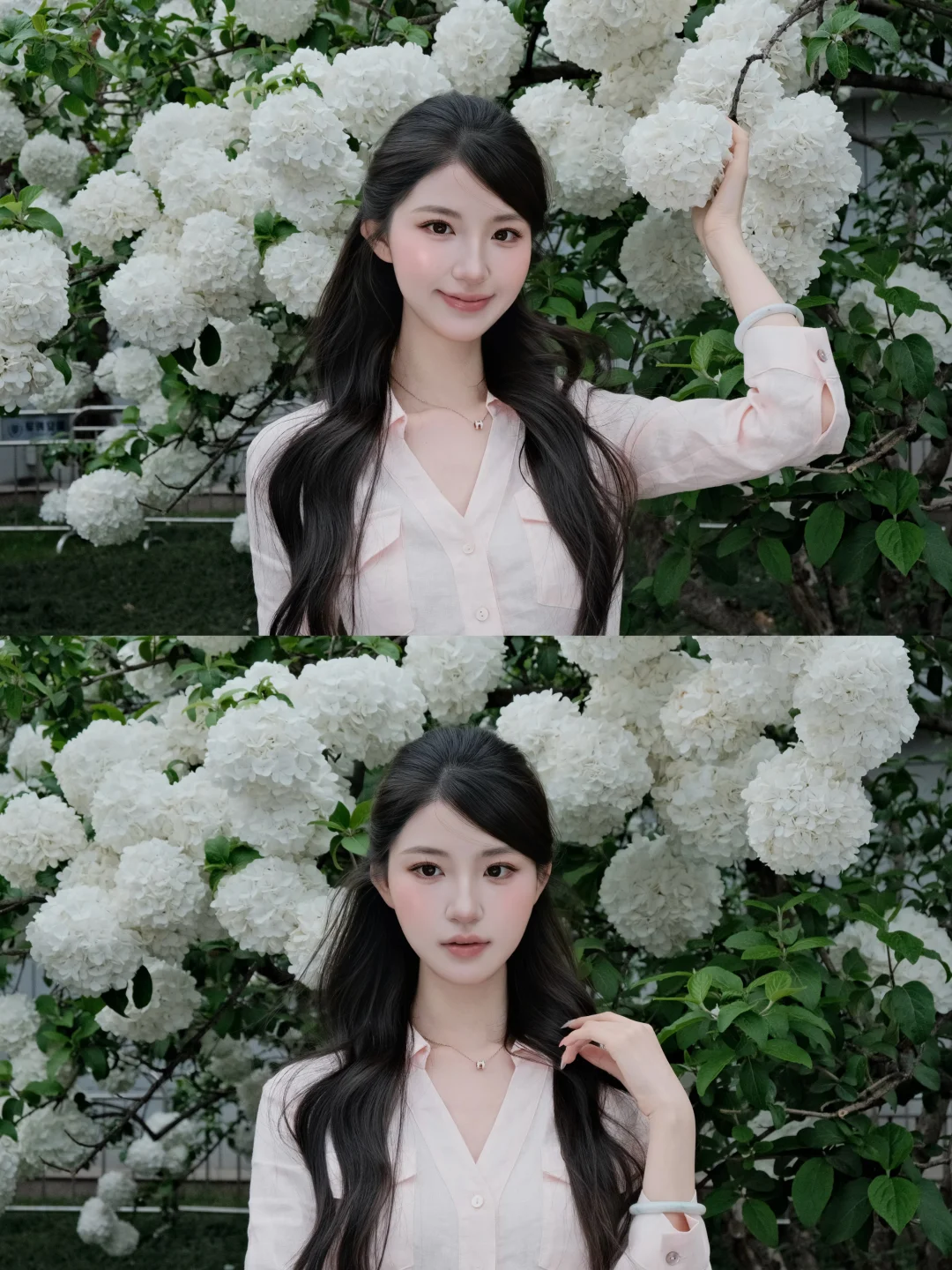 春日来信 绣球花开🍃