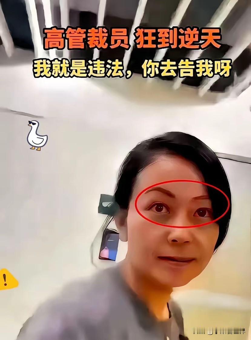 互联网是有记忆的！当年以一句“我就是违法，你去告我呀”而火遍网络的北京某公司H
