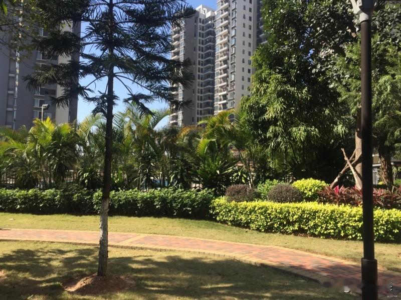 邻居是一对老夫妻，没有儿子但是比有儿子的活的都幸福！老两口有三个女儿，小日子