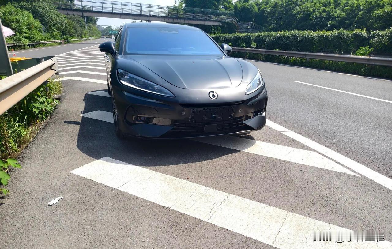 腾势Z9GT：“哥，我撞上你是我的不对，但你能不能先把牌还给我？我怕蜀黍说我无牌