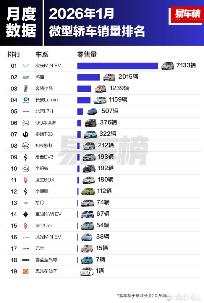 1月的微型车和小型车的销售榜单，第一名跟后面差距拉的很开