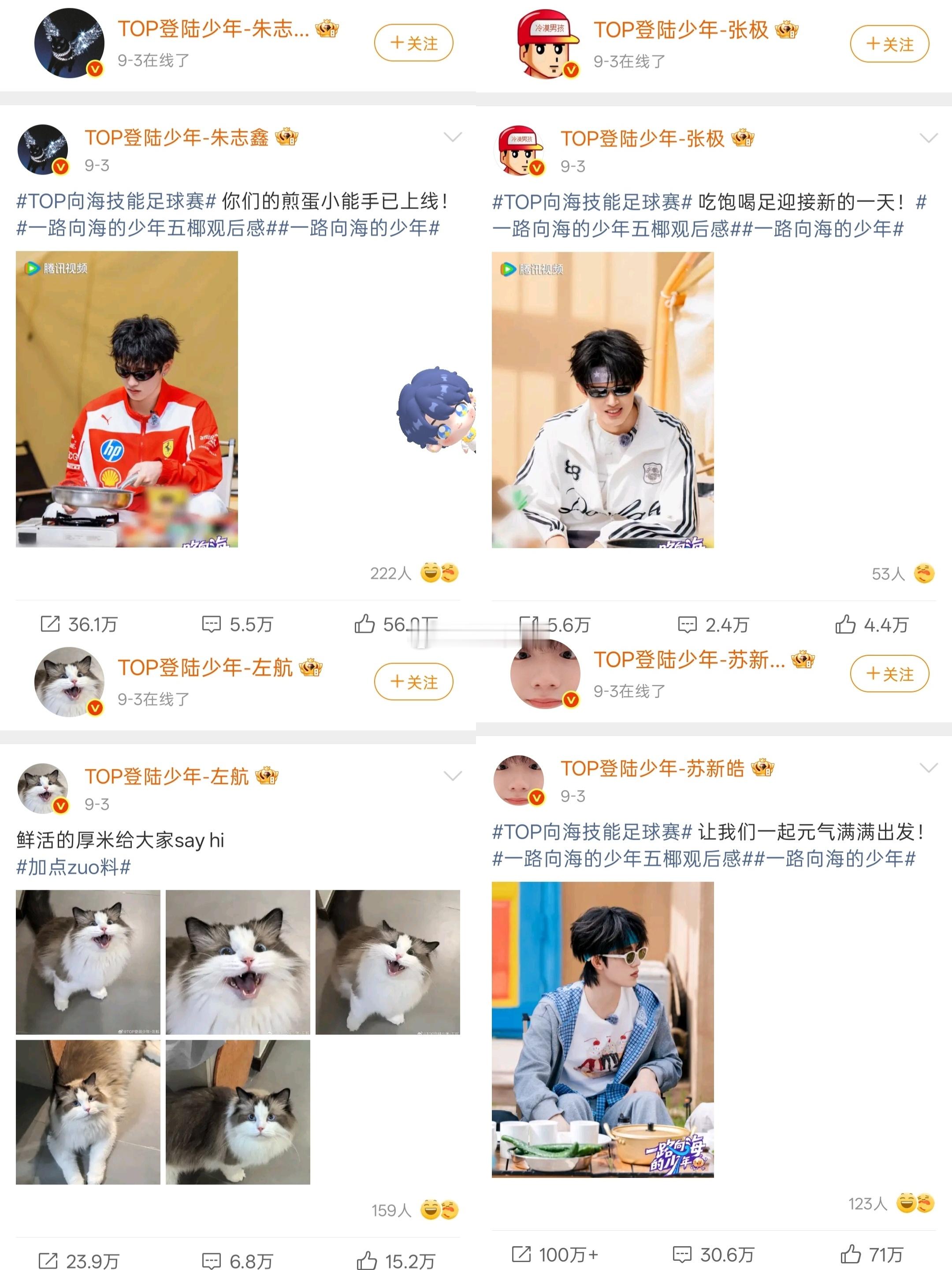 什么是幸福拥有一只黏人狗是什么感觉我现在都知道了​​​