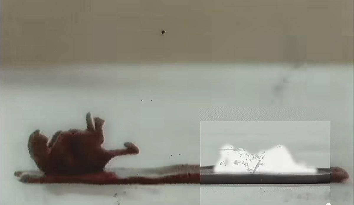 给我可爱的浑身发抖​​​