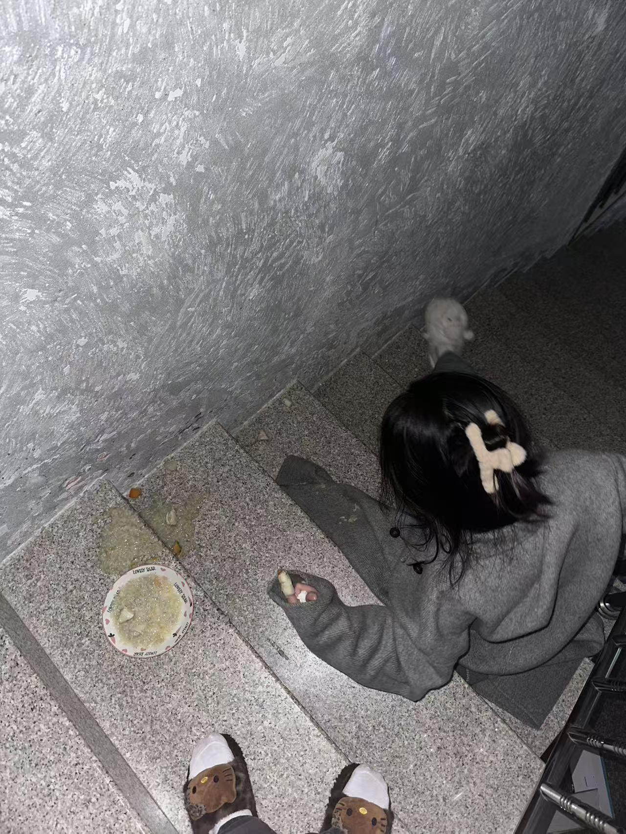 乌鸦坐飞机 小鸟伏特加 雷霆嘎嘣！痛的无法动弹 等一下！帮我拍个照