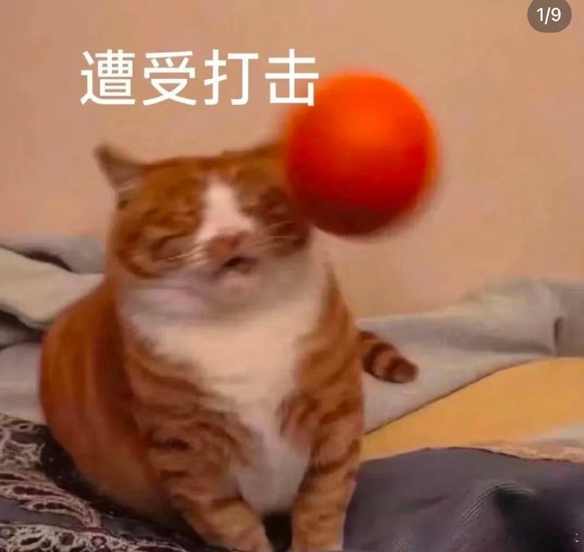 老羊今天跟我讲了件她年轻时候在百货公司上班遇到的奇事，听完我人都傻了。原来90年代一些刑侦大案影视剧