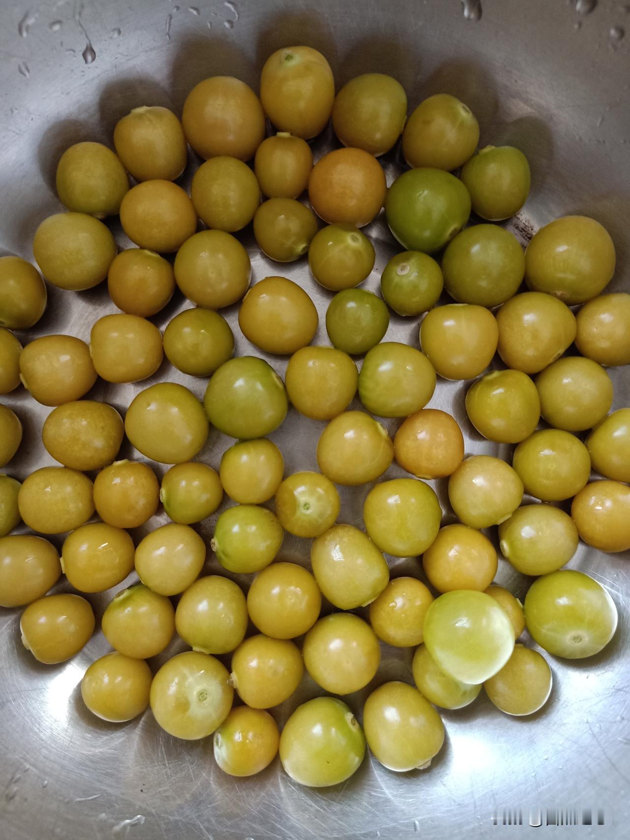 有孩子的，你不要错过这个春天，就种矮生的小水滴茄子！这是国外引进的传家