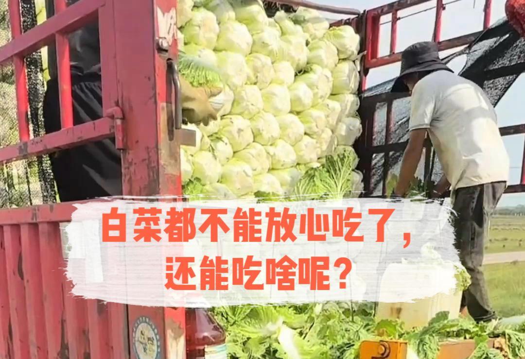 甲醛白菜这事被爆出来，我一点都不惊讶，因为从很早就听人说过，这白菜会被泡甲醛