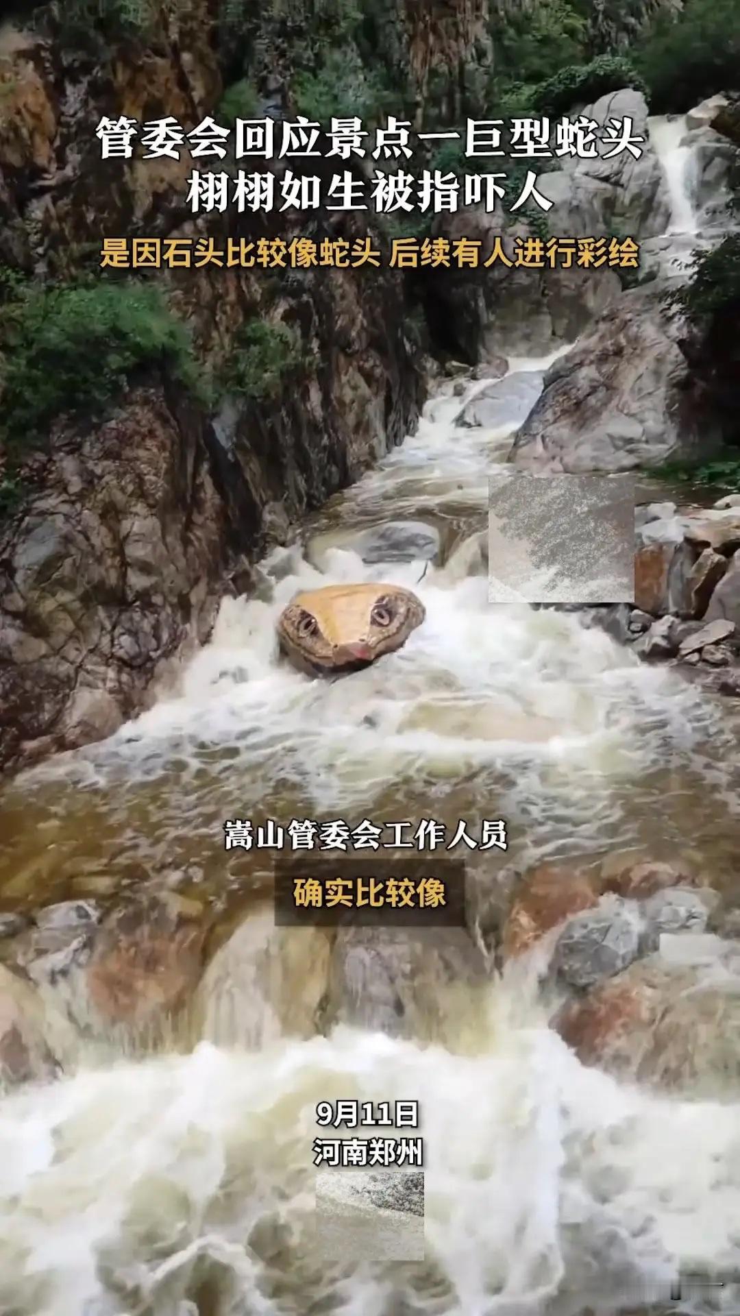 河南一景区惊现一个巨大的蛇头，视频上传网络后，一天就达到2000万次播放。嵩山管