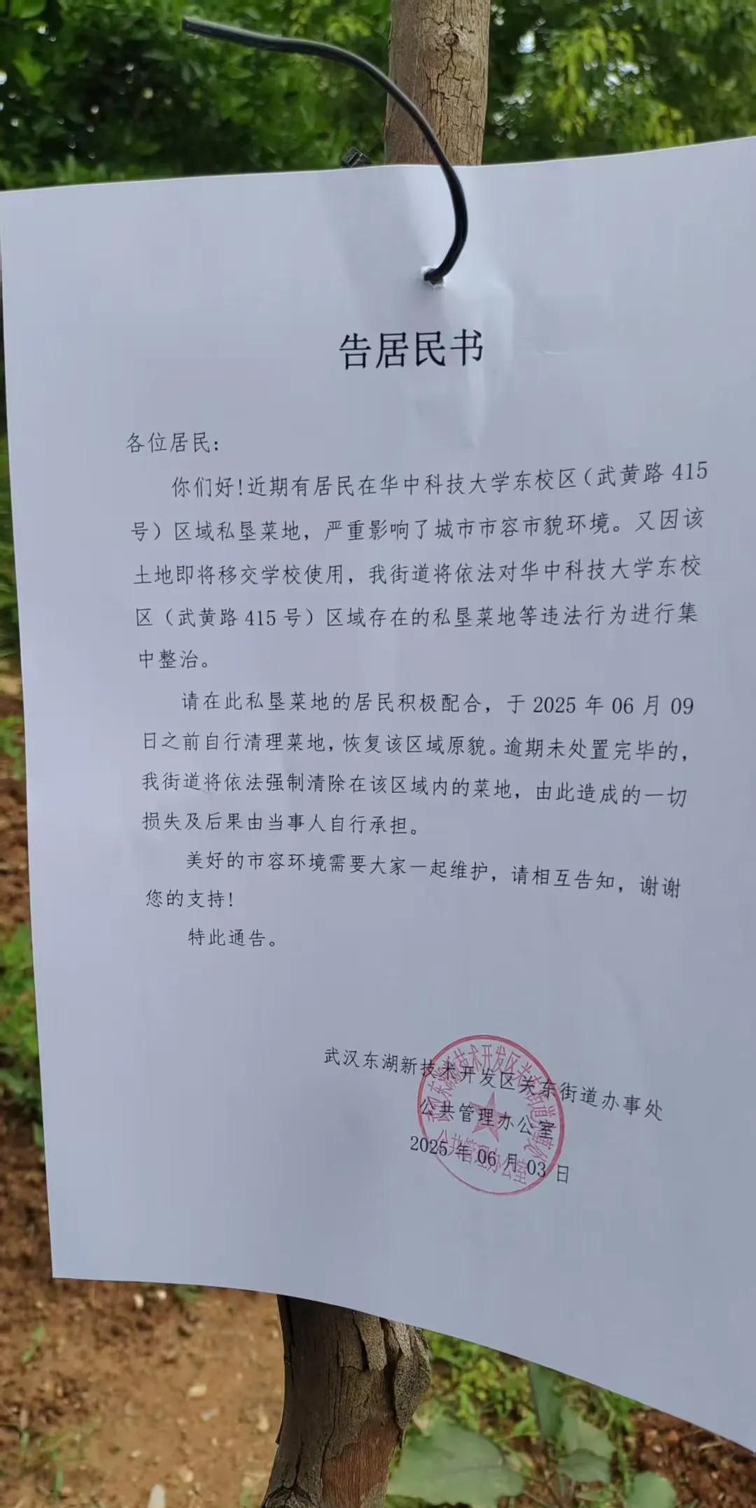 华中科技大学教授们爱找闲置土地种菜，还挺有意思的。其实很多老师都热衷于此。城市化
