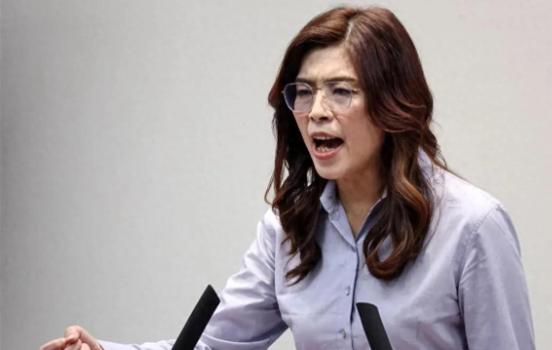 郑丽文出手了！ 距离国民党全代会只剩下不到一周，几份党代表提案突然浮出水面，