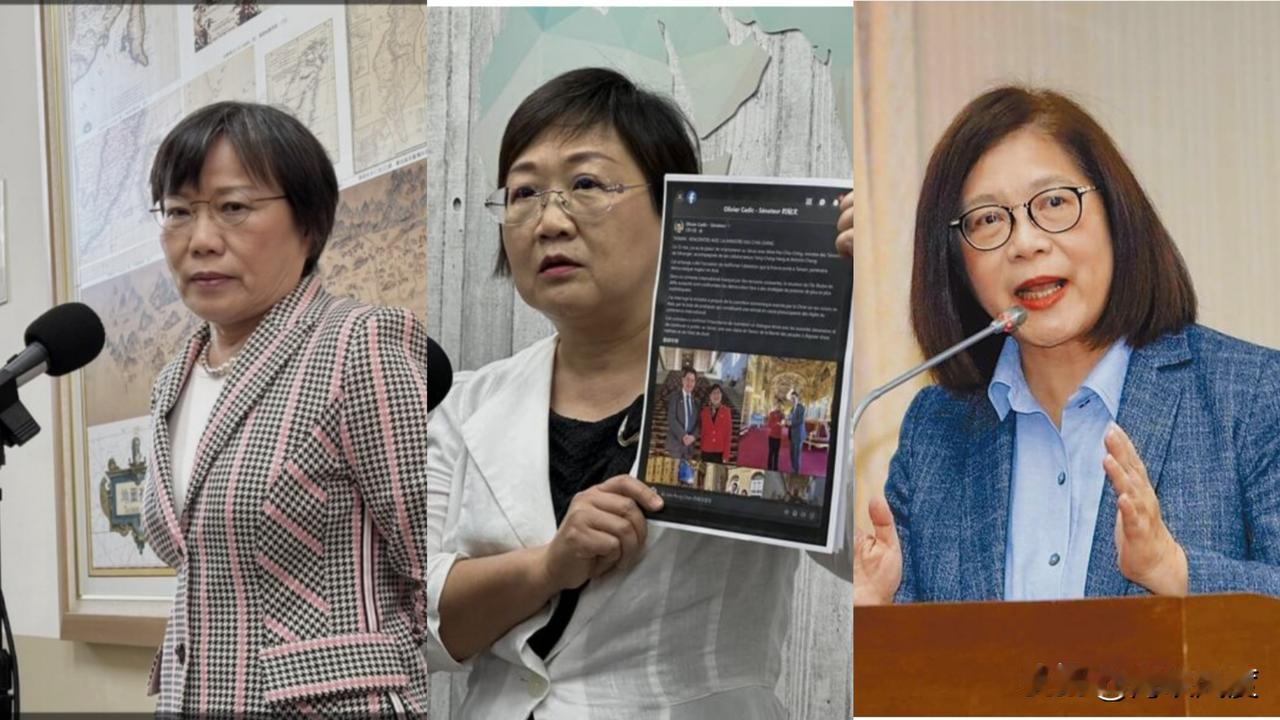 侨委会主委徐佳青独窜7国考察报告5页公款报销近千万！徐佳青、刘世芳、管碧玲为啥皆