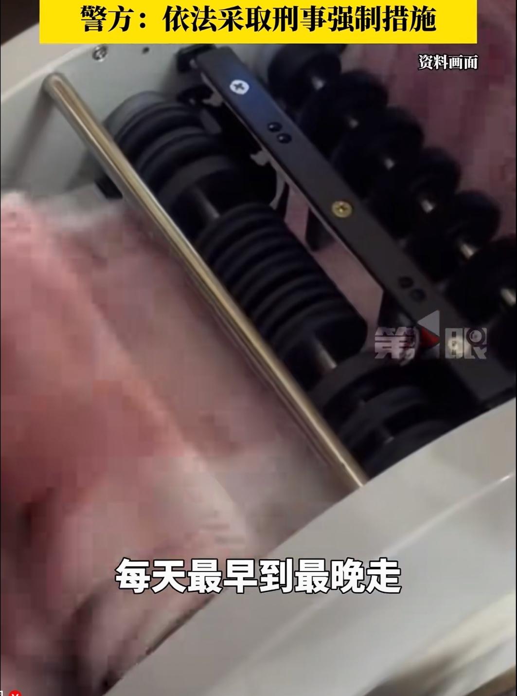 “人心隔肚皮”！上海普陀，一公司员工陈某，天天最早到，最晚走，打造“劳模”人设，