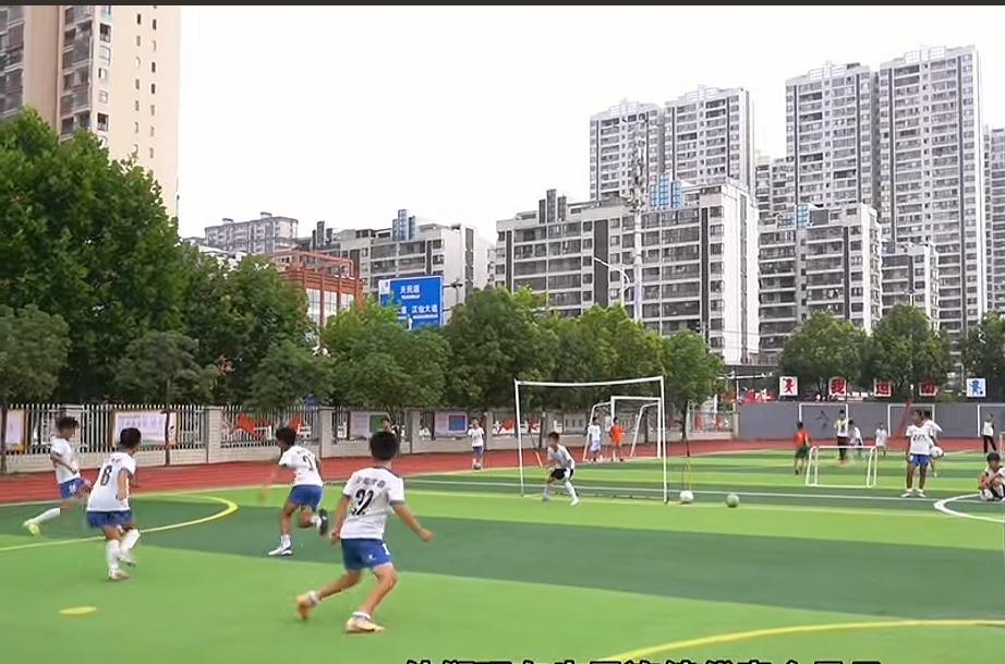 重视体育的专家说体育课要增加课时重视科学课的专家说科学课要增加课时重视思政课