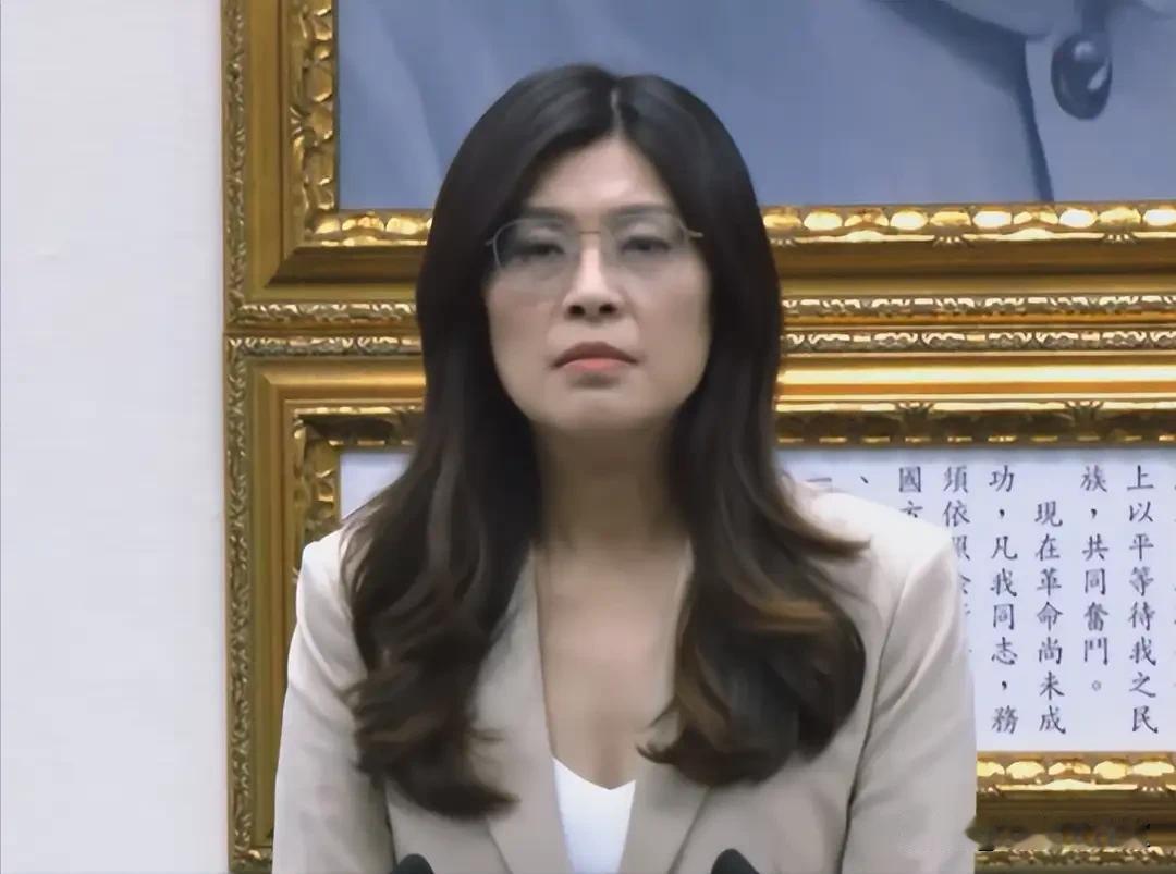 国民党13名党工再遭逮捕，郑丽文勃然大怒，吹响反攻的号角。可是卢秀燕和侯友宜这两