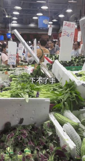 深圳政府一直说海吉星批发市场供应稳定，超市的菜价翻一倍算合理。网友晒出这个市场青