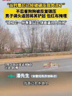 挺感动！3月20日，河北邯郸，潘先生开车时突然发现前方有一条狗早被碾压成Rou泥