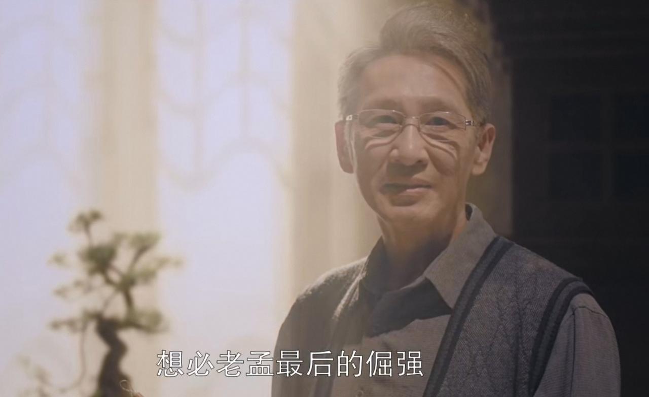 《我的山与海》：大结局重拍！意难平！养父孟思远去世，方婉之击退颜子威的吞并，李娟