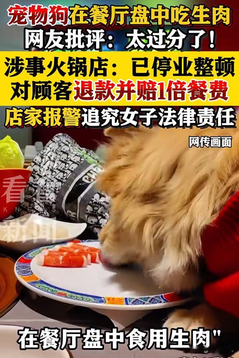 当初在海底捞撒尿的俩未成年人都拘留了。这次让狗在涮肉店上桌舔盘的女子，也决不能逍