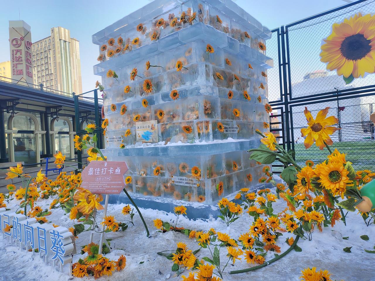 明天晚上就要2026年了，冰雪大世界的营业时间也有所改变，记好时间，做好规划！