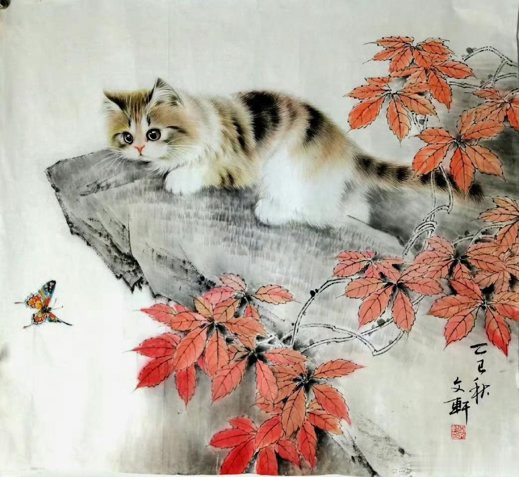 可爱小猫咪​​​​