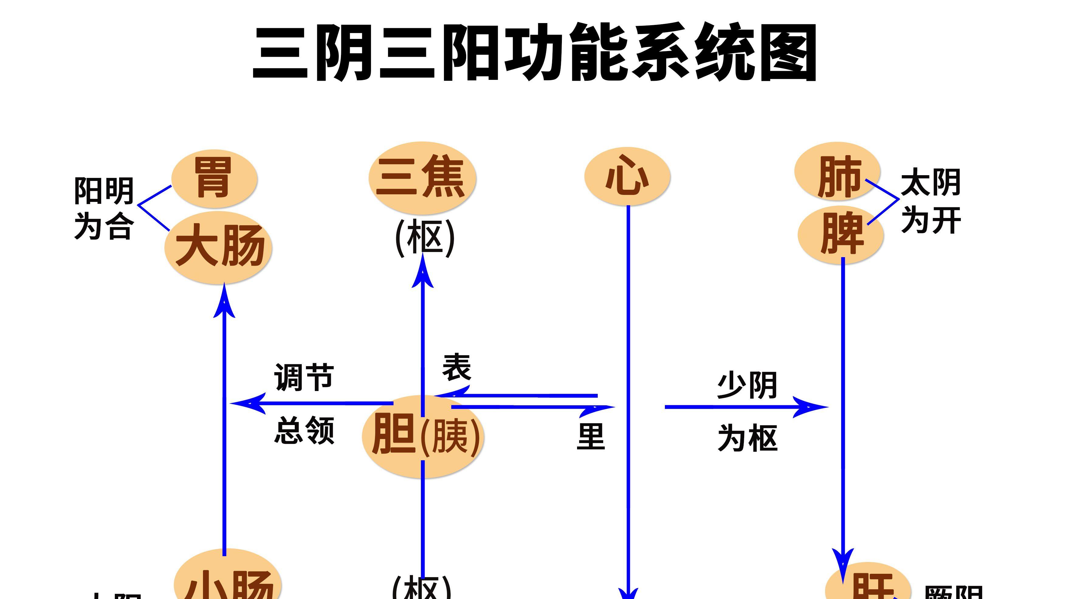 辅行诀二旦四神汤复杂变化在伤寒金匮中的应用2