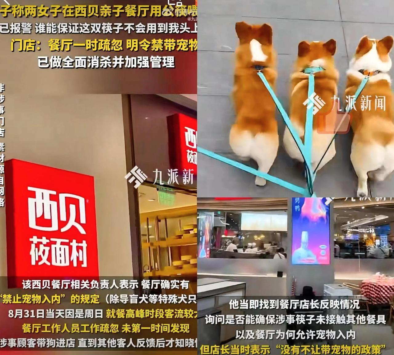 一觉睡醒，贾国龙真要吐血了！没想到罗永浩风波刚过去，西贝又出大事了！事情是这