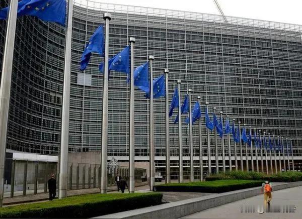 外媒：欧洲的“后美国时代”已到来德法两国的存在欧盟就永远无法独立于美国之外成为世