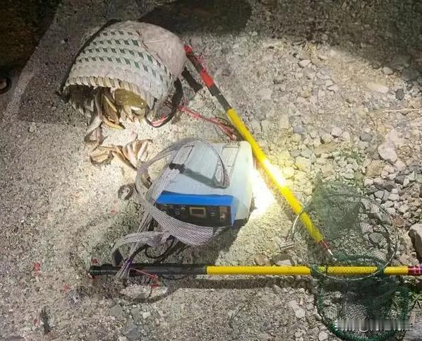 宁夏，一男子何某嘴馋，驾车到私人鱼塘用电瓶及自制工具偷鱼，被塘主马某发现后报警，