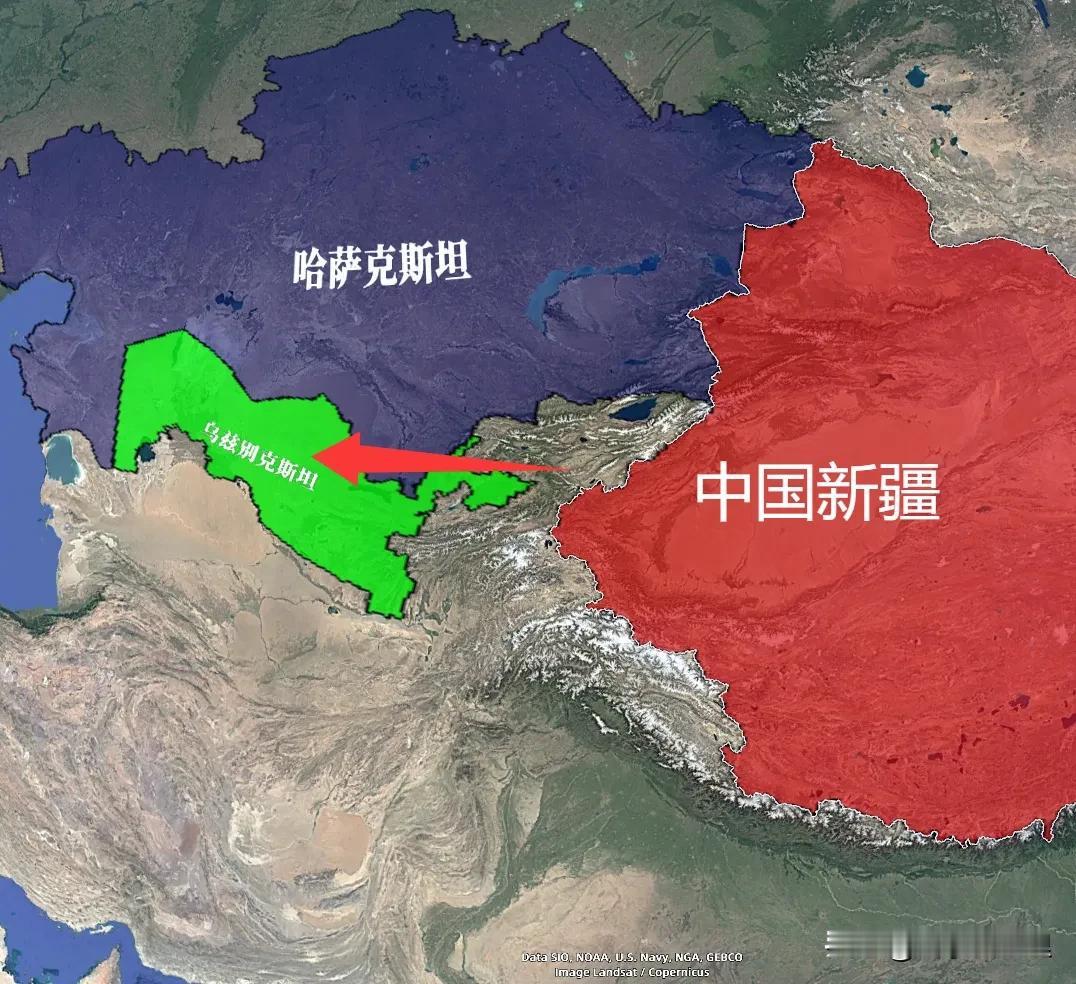 10万头中国肉牛运往乌兹别克：邻国有草原，为啥还要买中国牛？你没看错。草原遍地