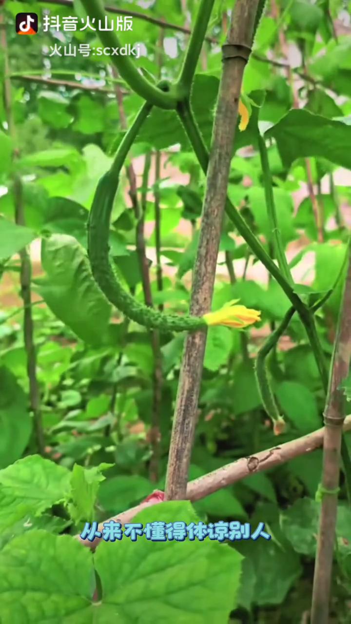 你仔细观察身边的老人会发现，越是晚年怕死、焦虑、矫情、难伺候的老人基本上都逃不开