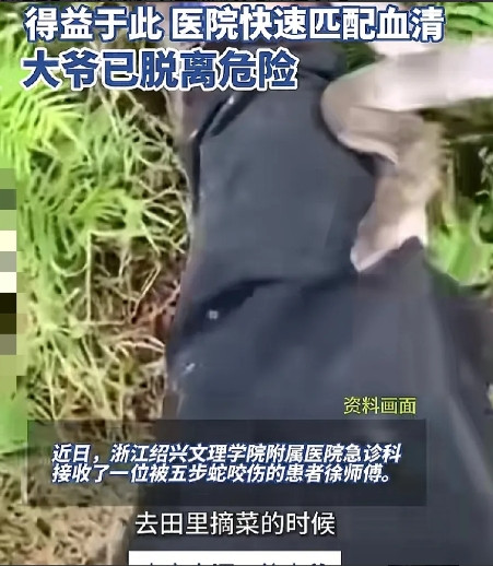 6月13日，浙江的徐大爷在菜园摘菜时突然感觉腿上一下刺痛，回头一看一条蛇正在逃走