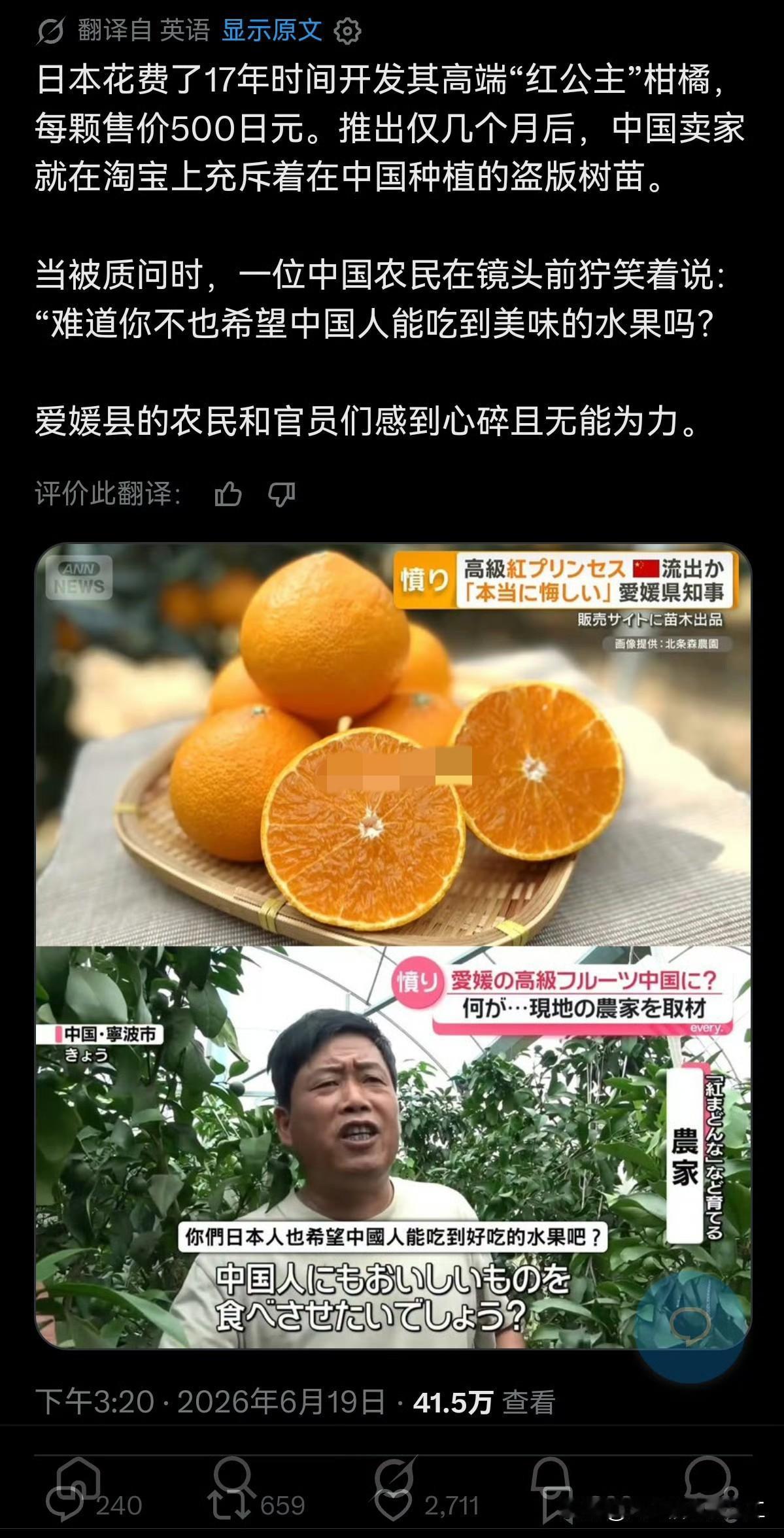 最近日本一直在指控“中国偷了日本开发的高端柑橘红公主”，结果转推区的外网评论大翻