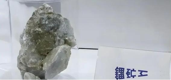“中国难道不虚伪？”一非洲留学生在节目曾逼问，中国太虚伪，就帮我们国家建了座议会