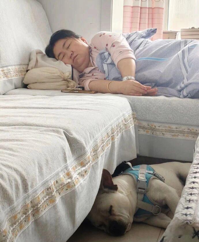 狗的模仿能力真强，猫呢？