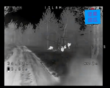 大晚上，一群乌军在路边集结，有可能是等车轮换回去的，实在靠的太近，带着夜视的FP